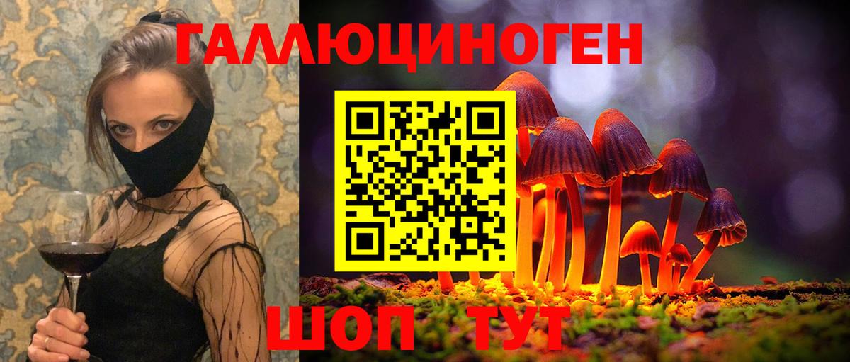 Галлюциногенные грибы Cubensis Чусовой